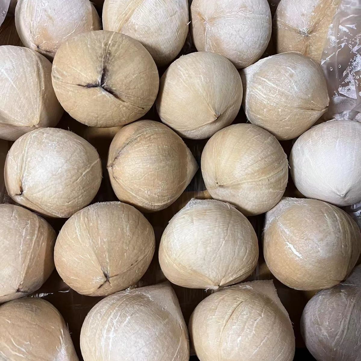 Guangzhou Jiangnan Wholesale Straight Hair [Sf Express] Thailand Imported Milk Coconut King Seasonal Coconut Milk-Flavored Coconut King Natural