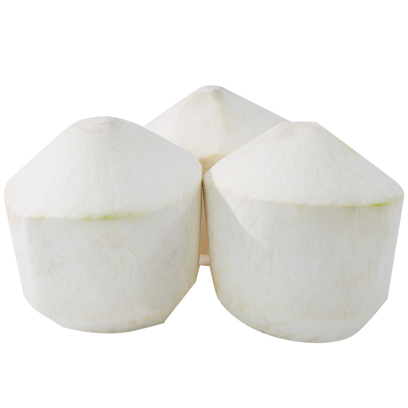 Hainan Coconut Green Fresh Coconut 9 Pack Seasonal Pregnant Women Fruit Coconut Fragrance Royal Peeled Perfume Coconut Whole Box Free Shipping