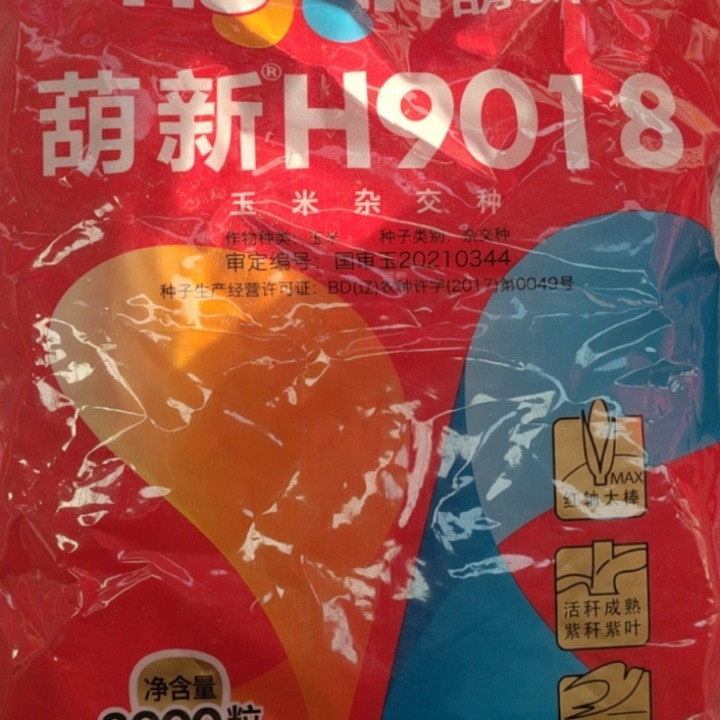 Весенние посевные общие сельскохозяйственные гибридные семена кукурузы оптовая продажа Хусин H9018 семена кукурузы гибридные семена