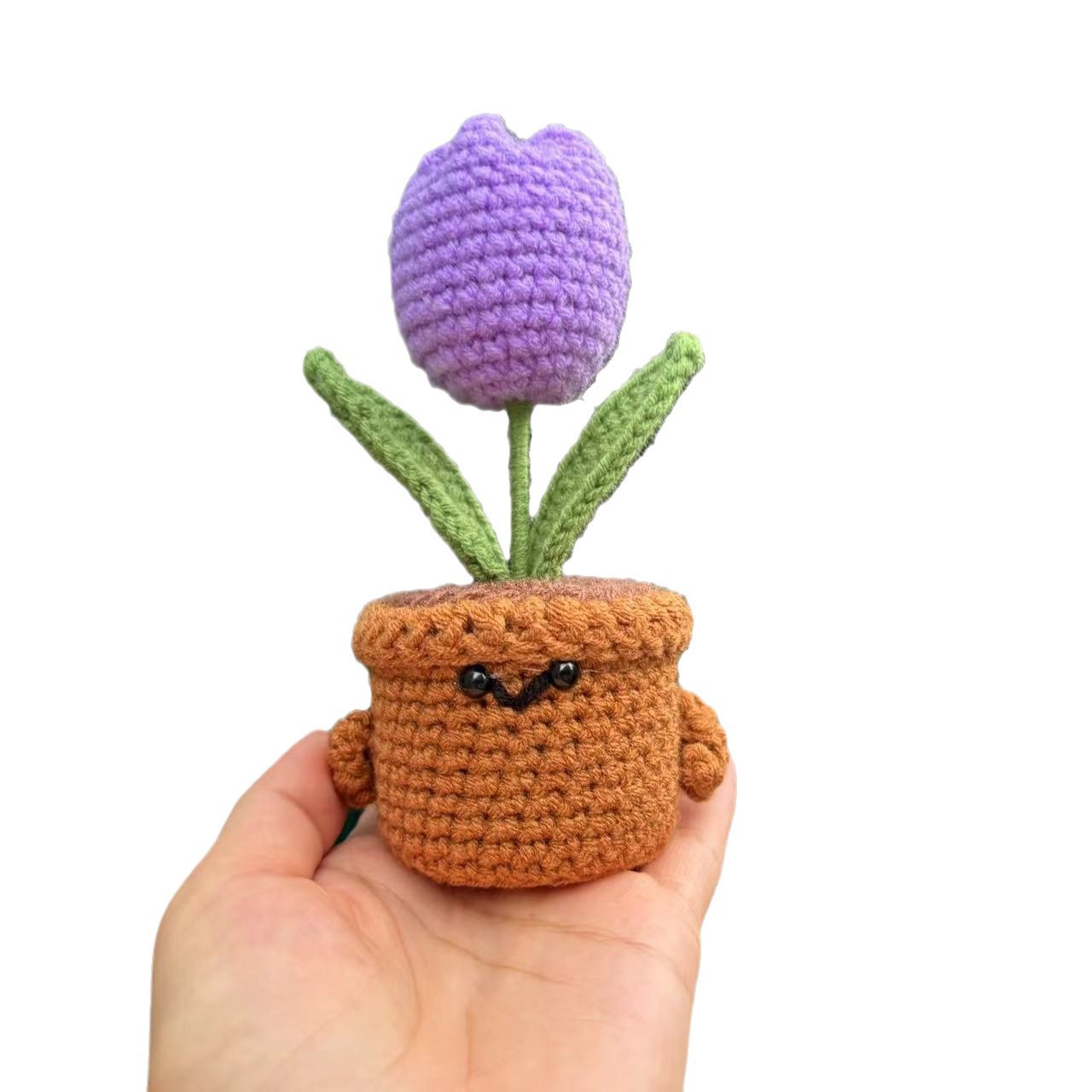 Amazon Hot Sale New Emotionlal Support Plant Gift Handmade DIY Plant