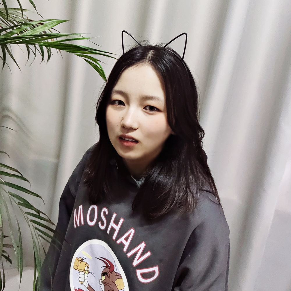 Xintian cartoon headdress children's cute hairpin jewelry Korean hair accessories plastic cat ears hairband supply