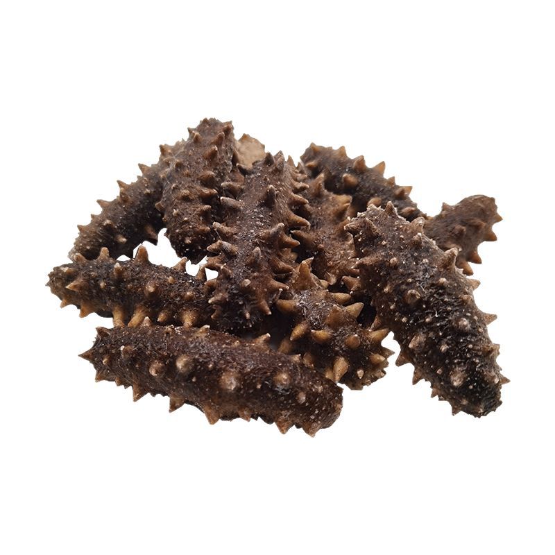 Manufacturer Fresh Dalian Ready-To-Eat Sea Cucumber Liaosheng Sea Cucumber Gift Box Dalian Fresh Sea Cucumber Sea Cucumber Ready-To-Eat Sea Cucumber Wholesale