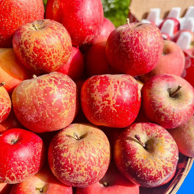 Daliangshan Jiandang Wholesale Ugly Apple Heart Crispy Rock Sugar Whole Box Giant Sweet Fresh Fruit Red Fuji Sichuan