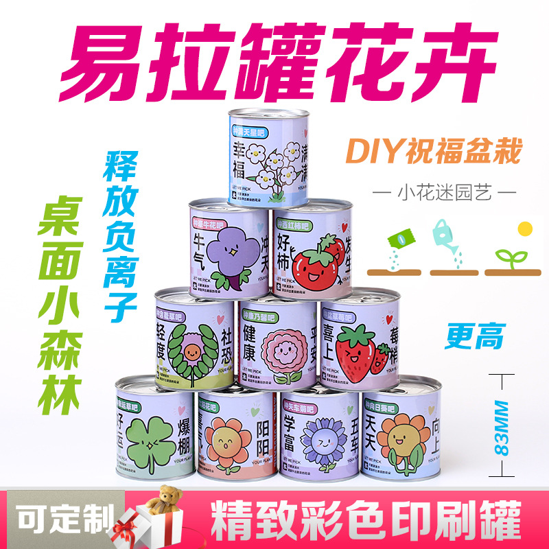 Детская креативная канистра для растений маленькие горшечные культуры настольные мини зеленые растения клубника подсолнечник слепая коробка для семян