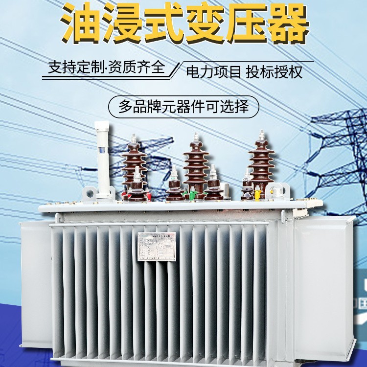 S11 Oil Immersive Transformer 100Kva-1000Kva Power Transformer 10Kv High Voltage Transformer