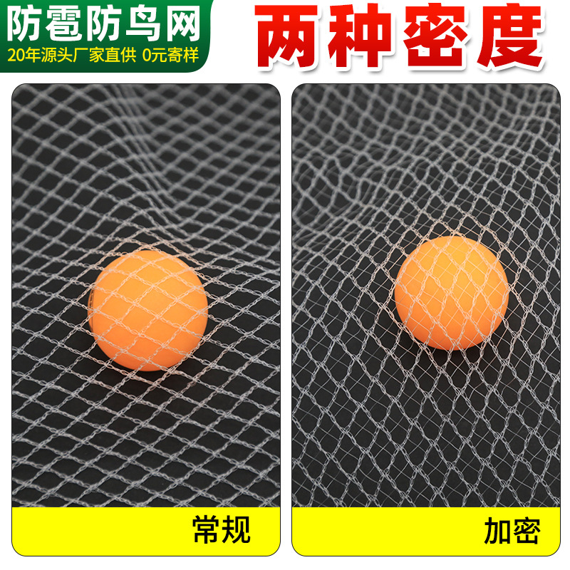 Orchard Farmland Hail Prevention Bird Net Rice Fish Pond Skynet Protection Net Grape Cherry Apple Tree Hail Prevention