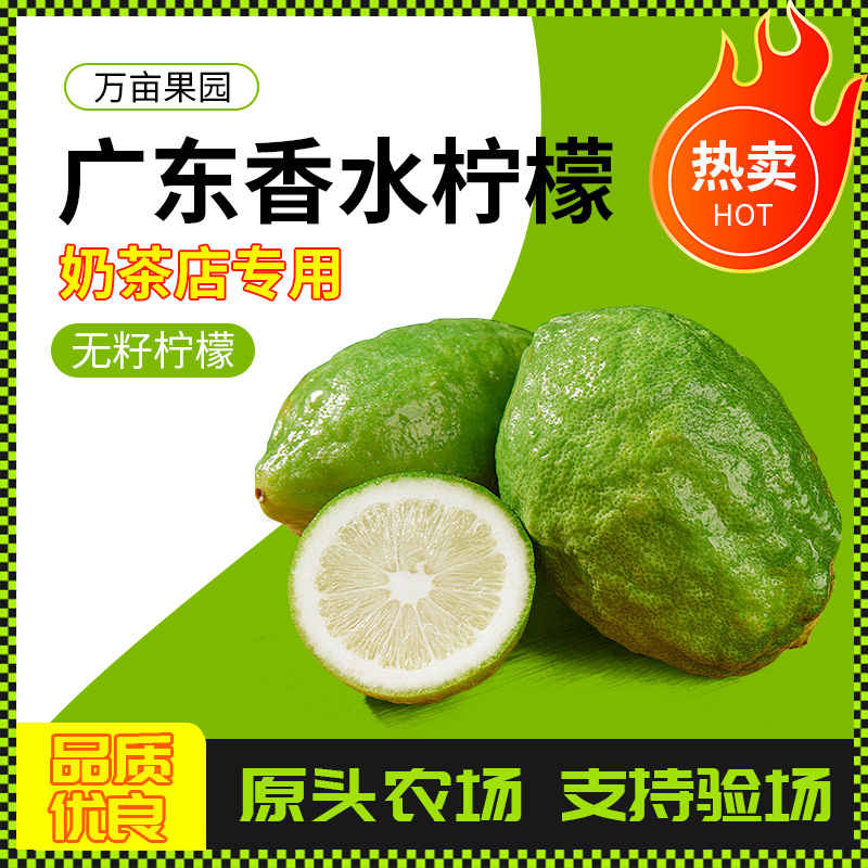 Лимоны, свежесобранные, безкосточковые, молочный чайный магазин, лимонный аромат, первоклассный сезонный выбор, кислые и сочные свежие фрукты