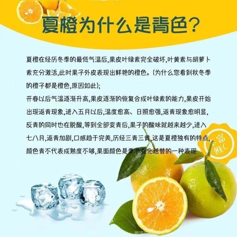 Hubei Summer Orange in Season Fruit Green and Yellow Peel Orange Free Shipping Fresh Fruit Summer Orange Dropshipping