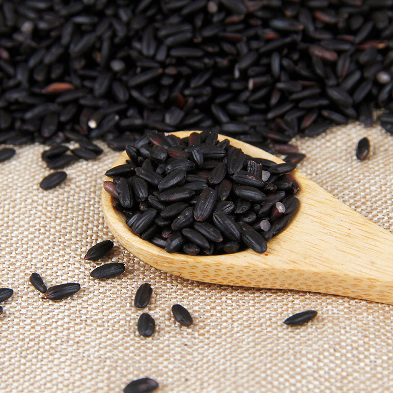 Supply of Five-Grain Freshly Ground Powder, Low-Temperature Baking Ingredients, Northeastern Black Fragrant Rice, Cooked Grains, Cooked Black Rice