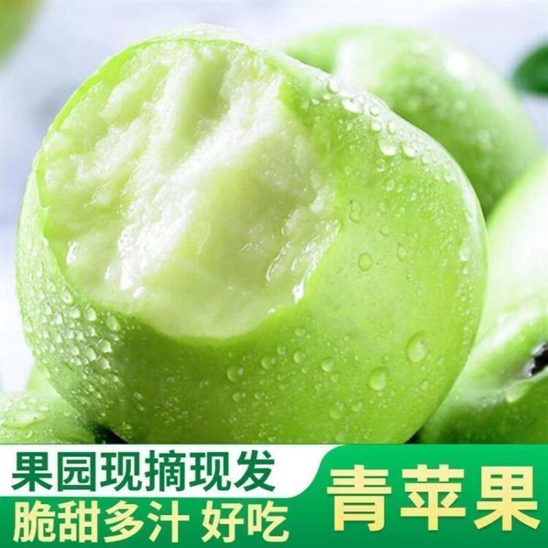 Authentic Green Apples, Sweet and Sour, Seasonal Fresh Fruits for Pregnant Women, Shaanxi Whole Box 1.0-4.5kg Wholesale Non-Wanglin Apples
