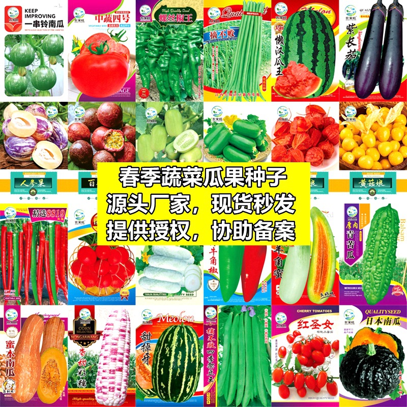 Оптовая продажа семян овощей, зеленые юго-западные, белый рис, фасоль, перцы, сырой кабачок, семена рапса, дыни и фрукты на весь год