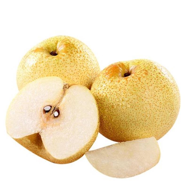 Dangshan Su Pear Fresh Pears Picked in Season Anhui Tangshan Pear Free Shipping Pears Drop Shipping