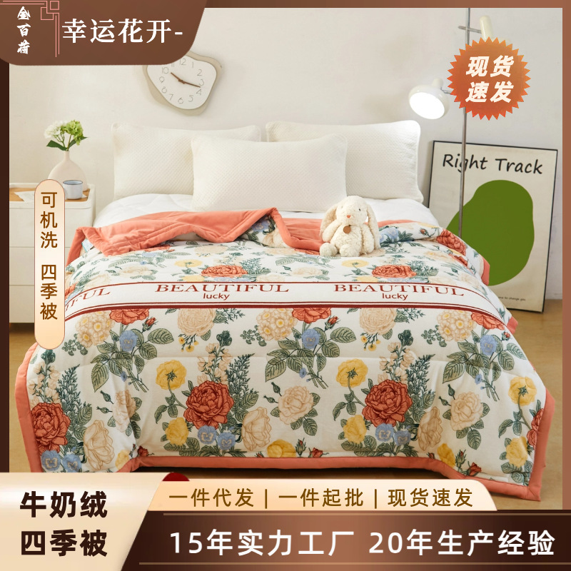 2025 Новый Квилт Класса А Материнский и Детский Студенческое Общежитие Весенний и Осенний Волокно Квилт Ядро 220г Зашифрованный Молочный Бархат Оптовая Продажа