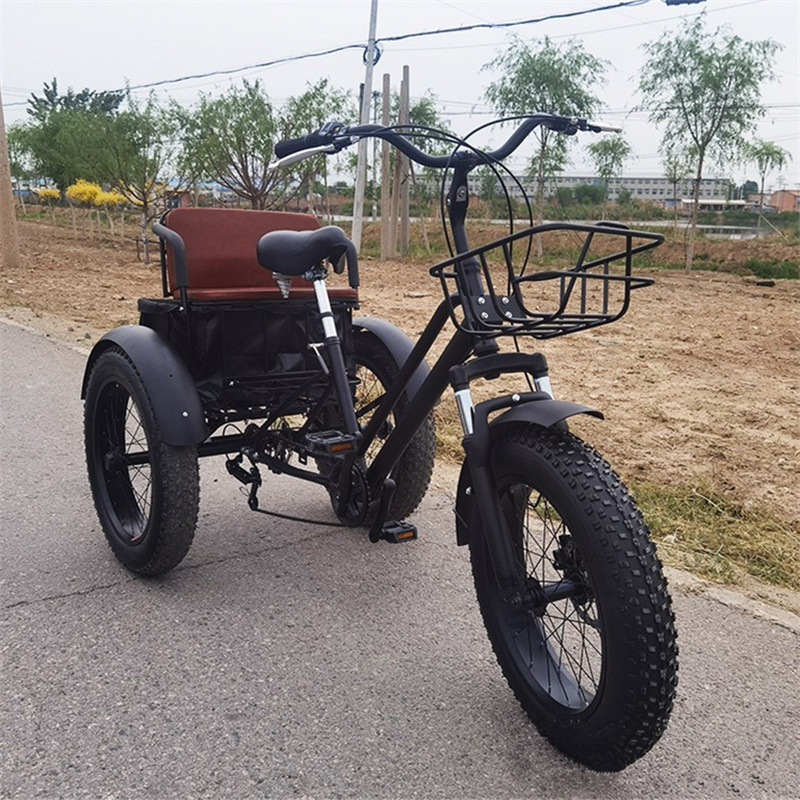 New Universal Fat Tire Human Pedal Variable Speed Tricycle Adult Outdoor Lightweight Elderly Mobility Bicycle