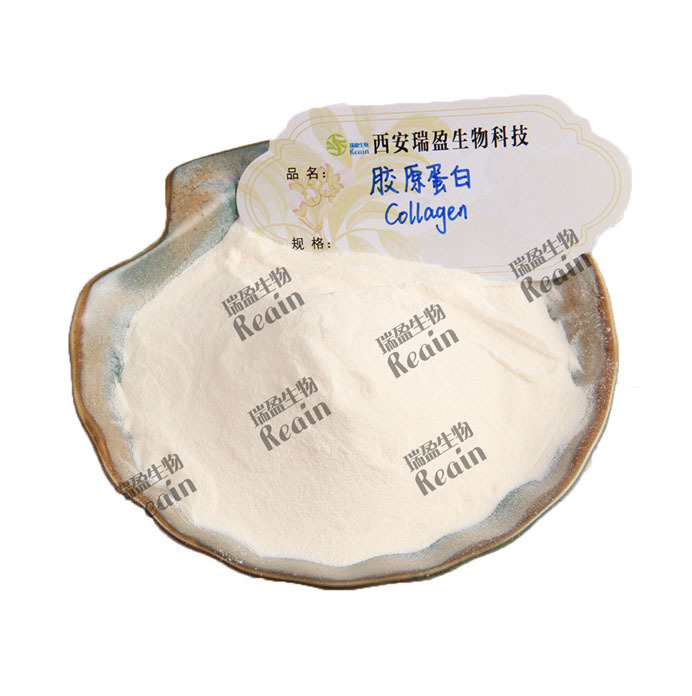 Bovine Collagen in Stock Wholesale Bovine Bone Extract in Stock Bovine Protein Raw Material Powder