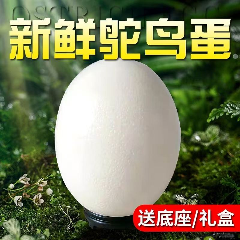 Супер большие свежие съедобные страусиные яйца, подарочная коробка, яйца эмю, вкусные и питательные для праздника Средины осени и Драконьего лодочного фестиваля