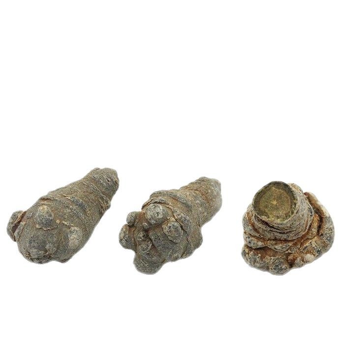 Yunnan sanqi powder wholesale sanqi powder Wenshan Sanqi Tianqi sanqi sanqi tablets sanqi powder Tianqi powder