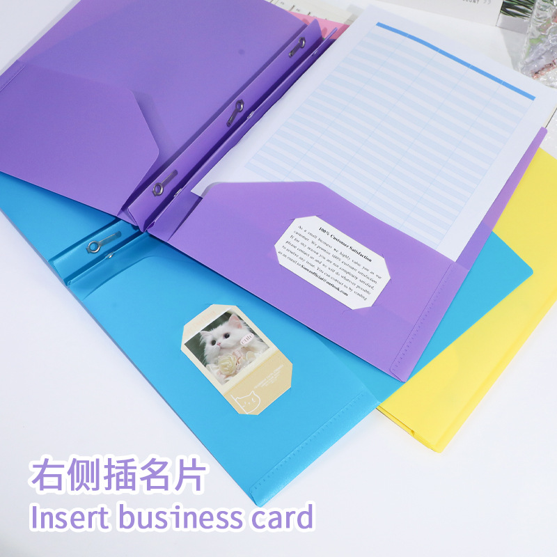 Multicolor tadpole clip classification storage folder in stock wholesale cross-border new hot PP folder