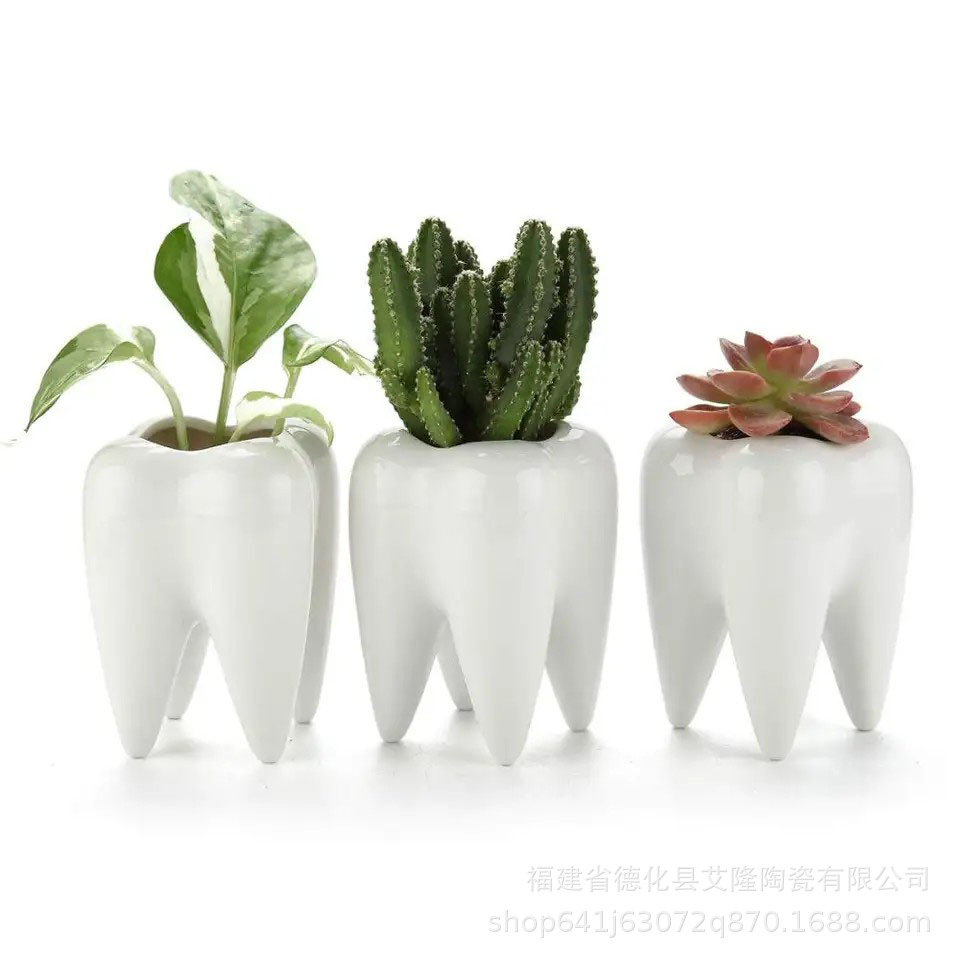 Nordic Ins Style Creative Funny Ceramic Pen Storage Decorative Ornaments Tooth Shape Toothbrush Cup Sundries Storage Flower Pot