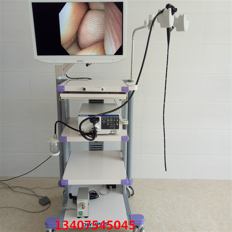 Olympus endoscope video image processing device CV-170