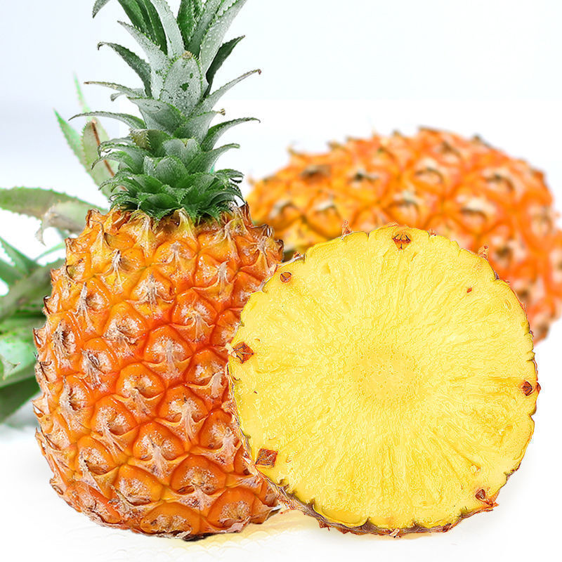 Hot Selling Guangdong Xuwen Pineapple Fruit 5kg Pack Seasonal Perfume Pineapple Fresh Pineapple Zhanjiang Crispy Small Pineapple