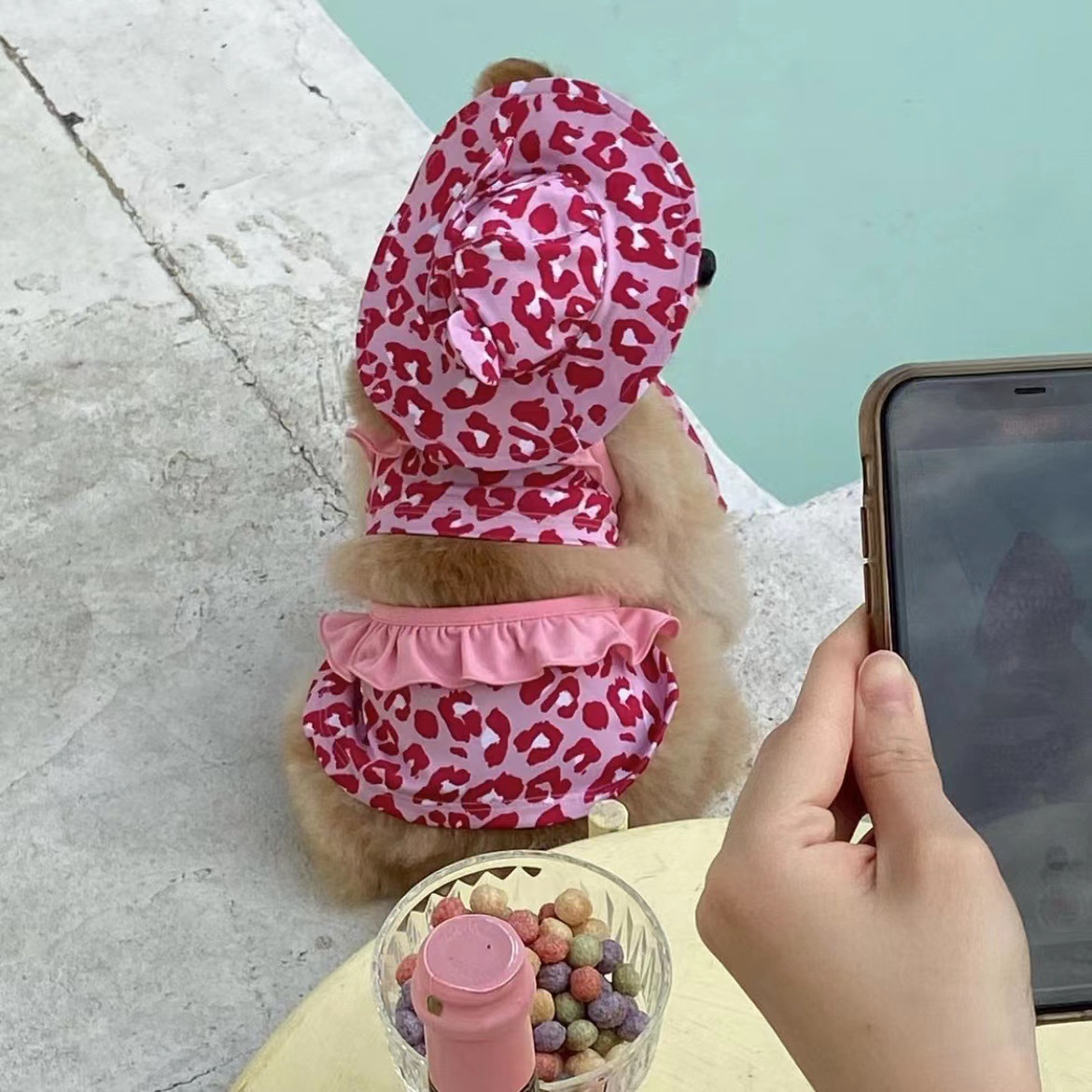 New Pet Swimsuit Cat Transformation Dress with Swim Cap One-piece Strap Bikini Dog Vest Swimsuit Cat Clothes