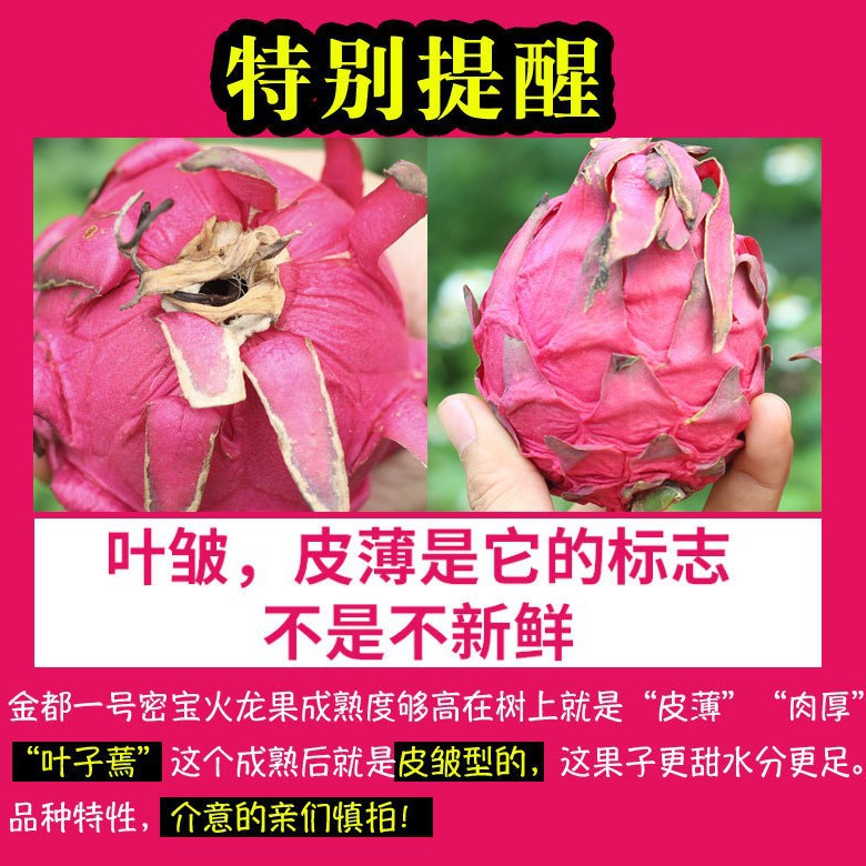 Source supply Jindu No.1 red heart dragon fruit fresh fruit postage a generation