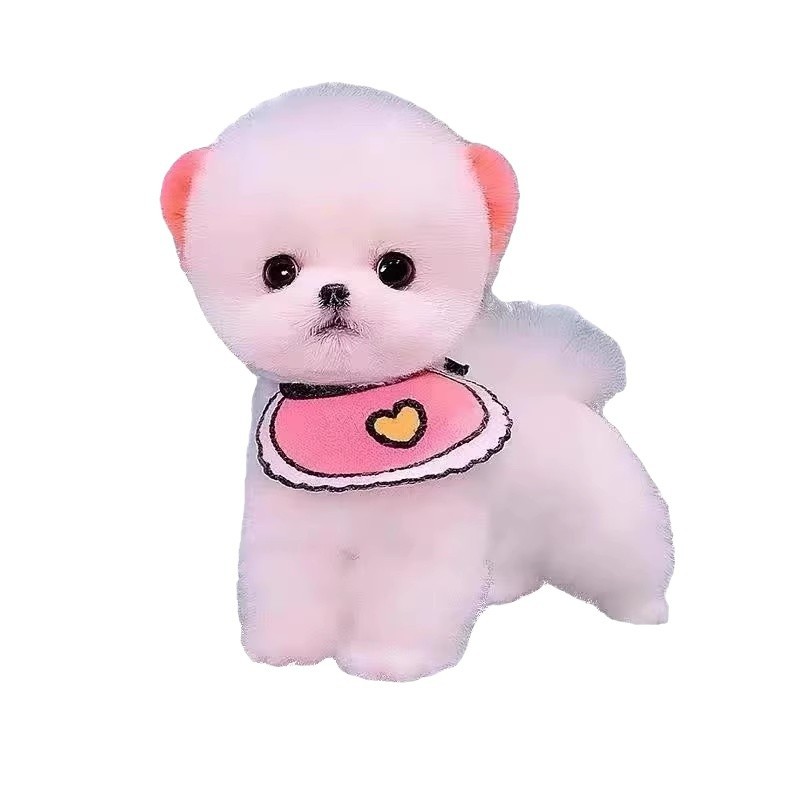 Purebred Pomeranian Puppies, Live Dogs, Pomeranian Small Dogs, Teacup Dogs, Shunji Dogs, Pet Dogs, Companion Dogs, Pet Dogs