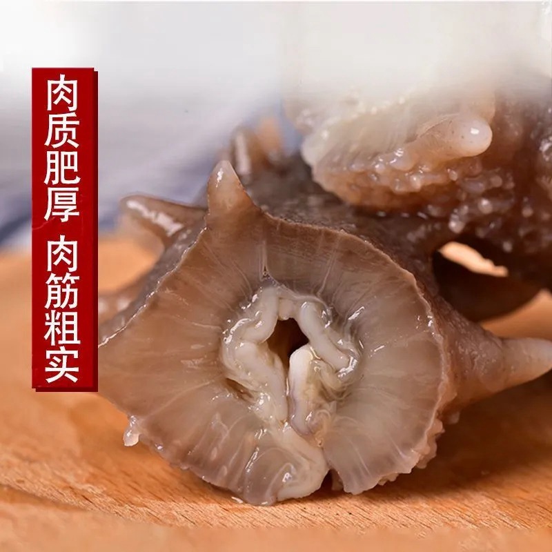 Light Dried Sea Cucumber, Good Price, Small Dried Sea Cucumber, Light Dried Sea Cucumber, Non-Wild Dalian Liao Sea Cucumber, Ready-To-Eat Dried Sea Cucumber