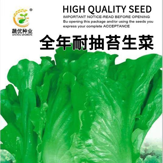 Wholesale Vegetable Garden Vegetable Seeds All Year Round Bolting-Resistant Lettuce 7g Potted Balcony Yard Rapeseed Factory Direct Supply