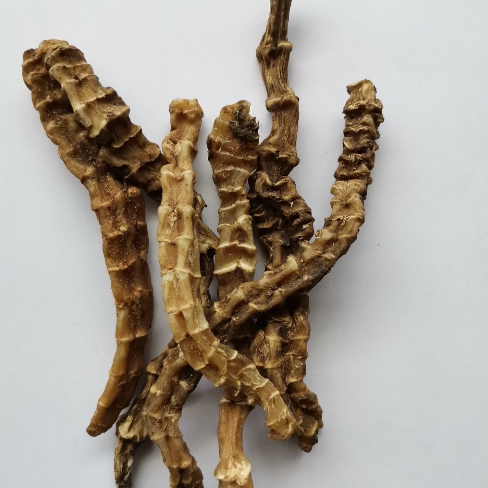 Wholesale of Wild Yunnan Specialty Tongkat Ali (Panax Notoginseng) from Its Place of Origin. Please Contact Privately for Bulk Orders