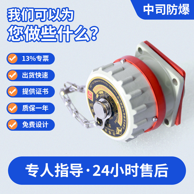 Explosion-Proof Plug, Spark-Free Connector, Single-Phase, Three-Phase, Four-Pole, Five-Pole Explosion-Proof Plug-In Device Plug and Socket