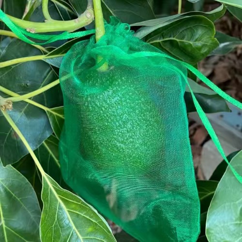 Spot fruit insect-proof bird-proof mesh bag lit beam mesh bag vegetable breathable drawstring bag fruit bagging protection bag