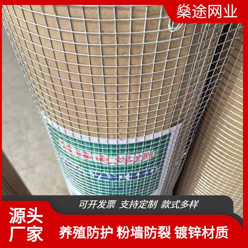 Grid Steel Wire Mesh Galvanized Wall Welding Mesh Wire Mesh Protective Mesh Plastering Steel Mesh Anti-Crack Hanging Mesh Breeding Fence