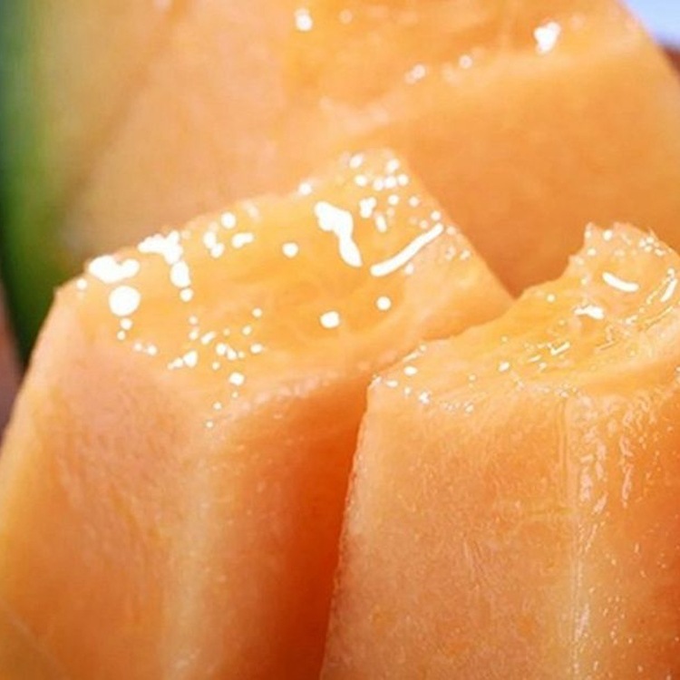 Shanyizhou Honey Origin Straight Honeydew Melon Free Shipping Xizhou Honey Cantaloupe Melon Drop Shipping
