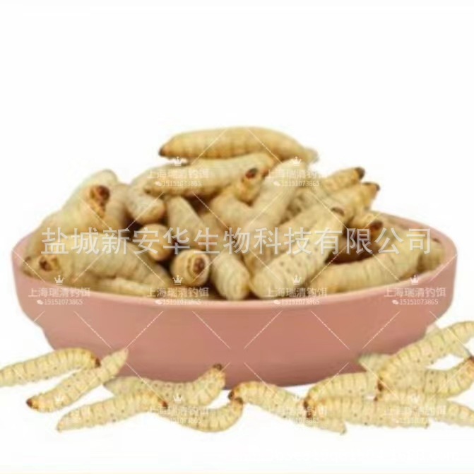 Freeze-Dried Honey Worm, Grape Worm, Corn Worm, Free Shipping, Bird Food, Sugar Glider, Embroidered Eye Hamster Feed, Gecko Snack Feed