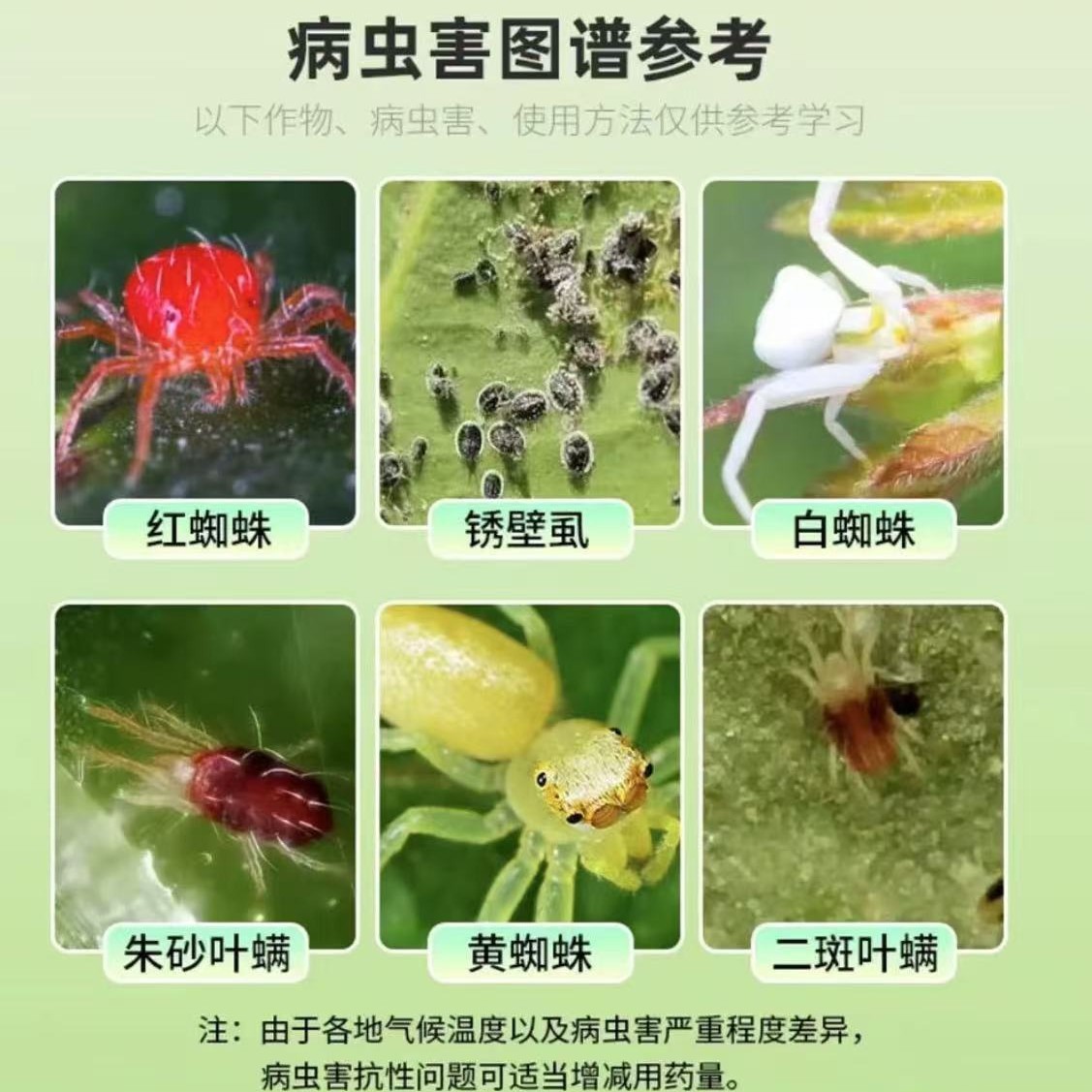 Red Spider Avida Acaricide Wheat Insecticide Avida Acaricide Insecticide Vegetable and Fruit Tree Acaricide
