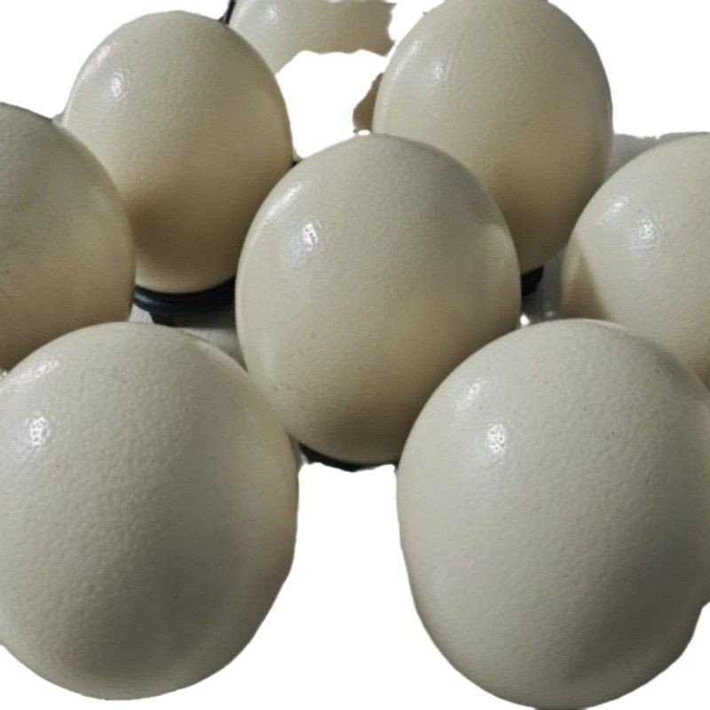 Super Large Fresh Edible Ostrich Egg Gift Box Emu Egg Edible Mid-Autumn Festival Dragon Boat Festival Gift Delicious and Nutritious