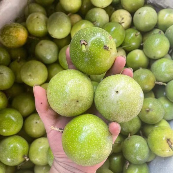 Gold passion fruit Qin mi 9 fresh fruit generation tropical fruit passion fruit source factory in stock wholesale