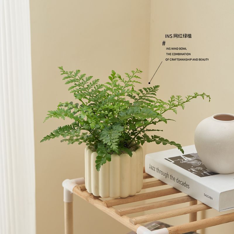 Office Desktop Indoor Green Plants Small Potted Cream Style Ornaments Indoor Formaldehyde Removal Air Purification Universal for All Seasons