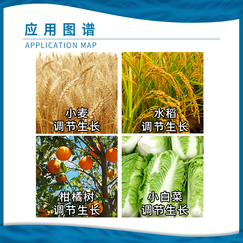 Chengdu New Chaoyang Shuofeng 481 Flower Fruit Spawarenol Lactone 14 Hydroxyyl Spawarenol Growth Regulator
