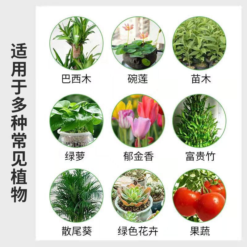 Manufacturer Plant Nutrient Solution Concentrated Liquid Flower Fertilizer Hydroponic Flower Growing Fertilizer Pothos Fertilizer Liquid Fertilizer Organic