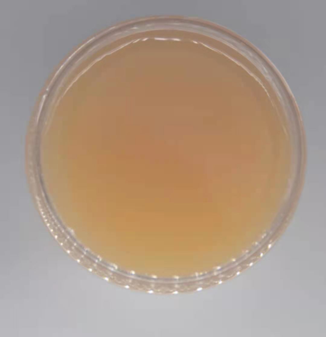 High temperature resistance, light resistance, abrasion resistance, scratch resistance, oxidation resistance, high hardness, high density oxidized polyethylene wax emulsion