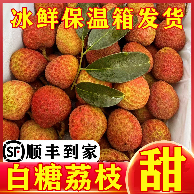 Freshly Picked Fresh Lychees, White Sugar,罂妃子, Seasonal Cinnamon-Flavored Black-Leaf Lychees, Fresh Fruits