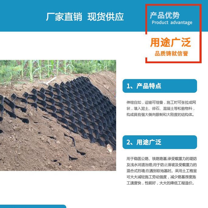 Honeycomb Geogrid Slope Protection Geogrid Chamber with Drainage Hole Grid Greening High Strength Geogrid for Slope Protection