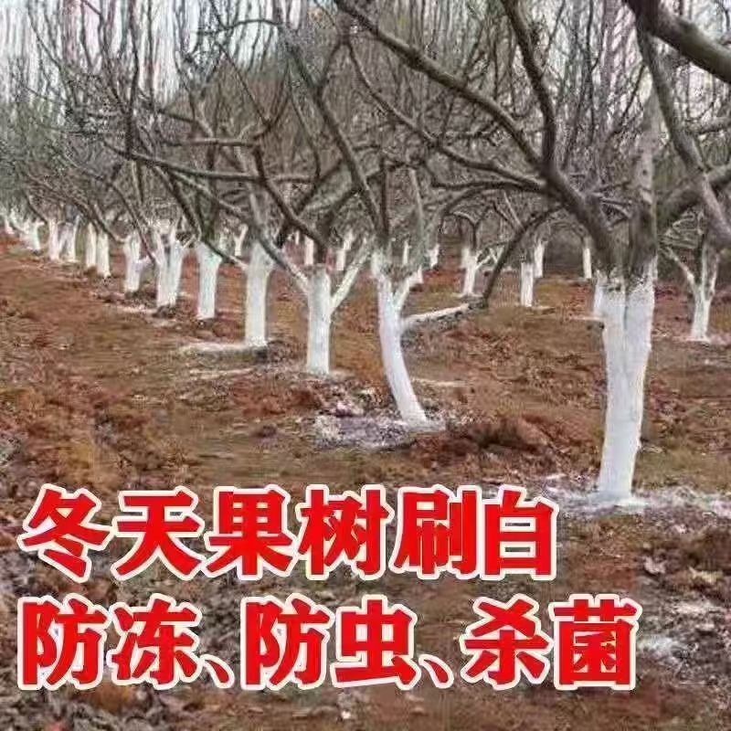 Special Fruit Tree Garden Whitening Agent, Tree Antiseptic Powder, Insect-Proof, Sterilization, Insect-Proof Eggs, Cold-Proof Manufacturer Wholesale