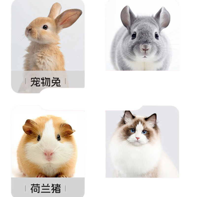 Rabbit Comb, Baby Rabbit Bathing Comb, Pet Silicone De-Floating Brush, Chinchilla, Guinea Pig, Rabbit Supplies