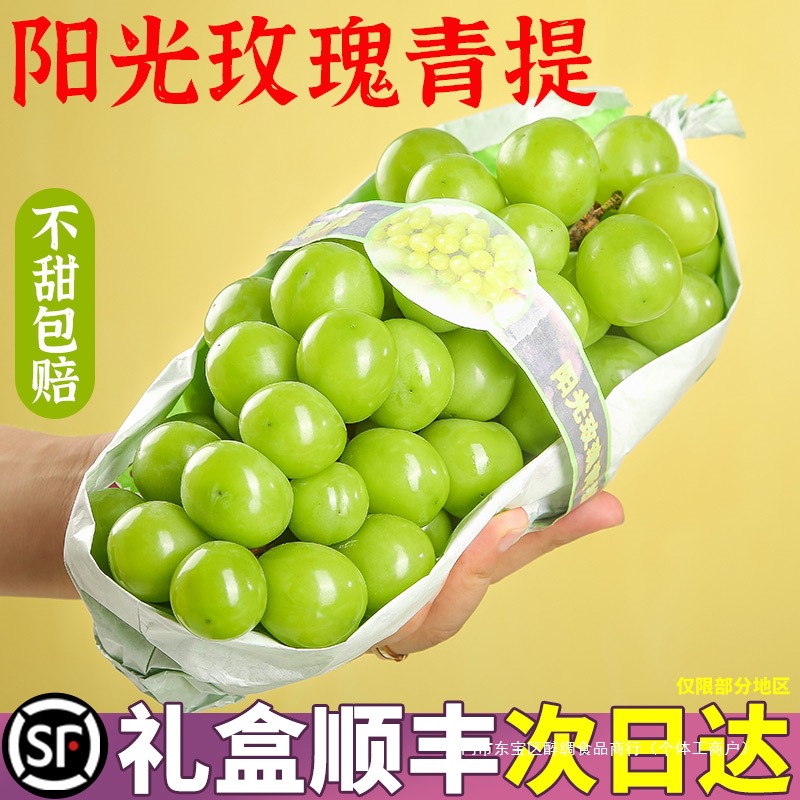 Sunshine Rose Grade 5A Sunshine Rose Grape Fresh Seasonal Fruit Green Grape Seedless Green Grape Sweet