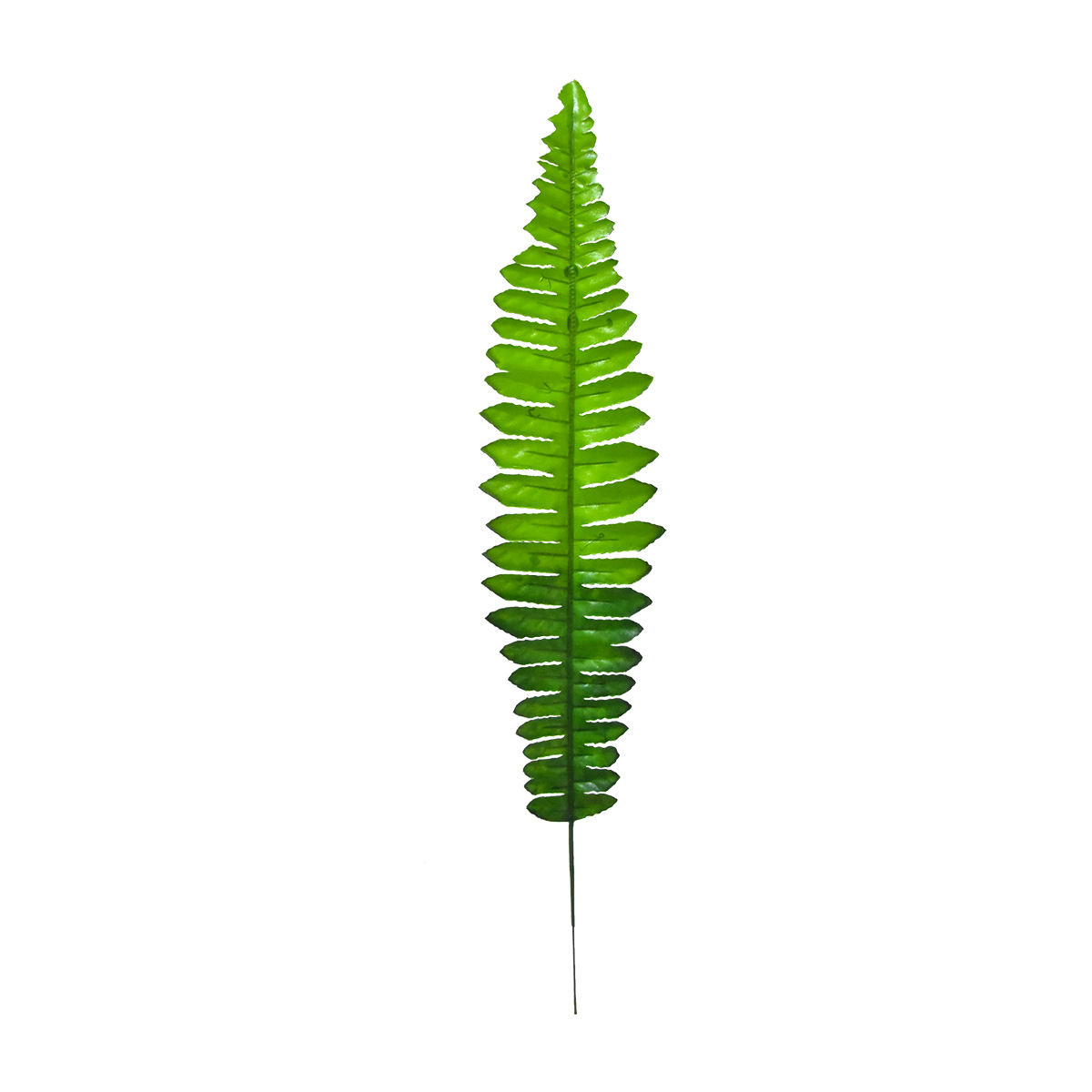 Simulation Monolithic Persian Fern Leaf Silk Cloth Fake Leaf Soft-fitting Engineering Plant Wall Landscape Shopping Mall Greening Decoration