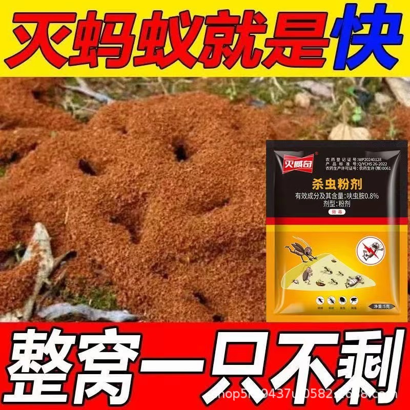 Wichi cockroach medicine ant powder household kitchen restaurant indoor non-toxic factory direct wholesale